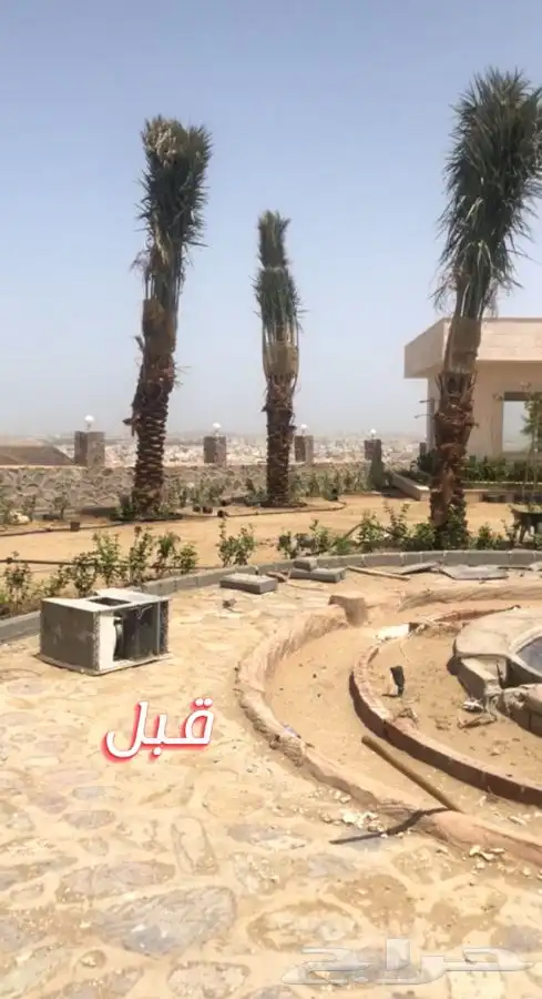 نجيله ثيل عشب طبيعي C2000 صافي جوده عاليه   23