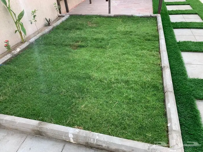 نجيله ثيل عشب طبيعي C2000 صافي جوده عاليه   8