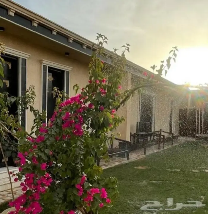 شاليه المنار 1