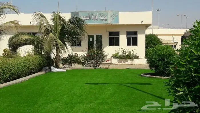 لاند سكيب للاسطح والجدران 39