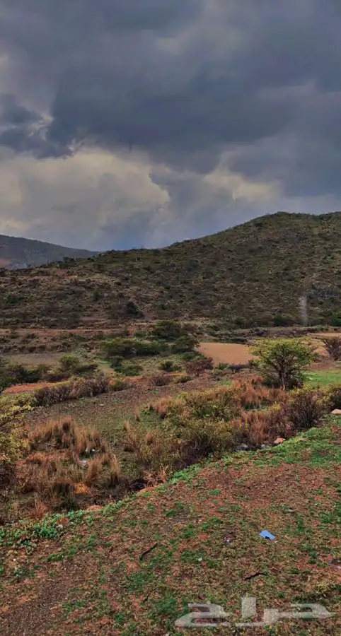 السودة بجلسات خارجية اطلالة خاصه 9