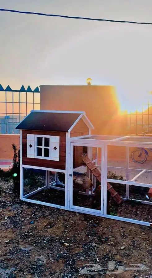 السودة بجلسات خارجية اطلالة خاصه 16