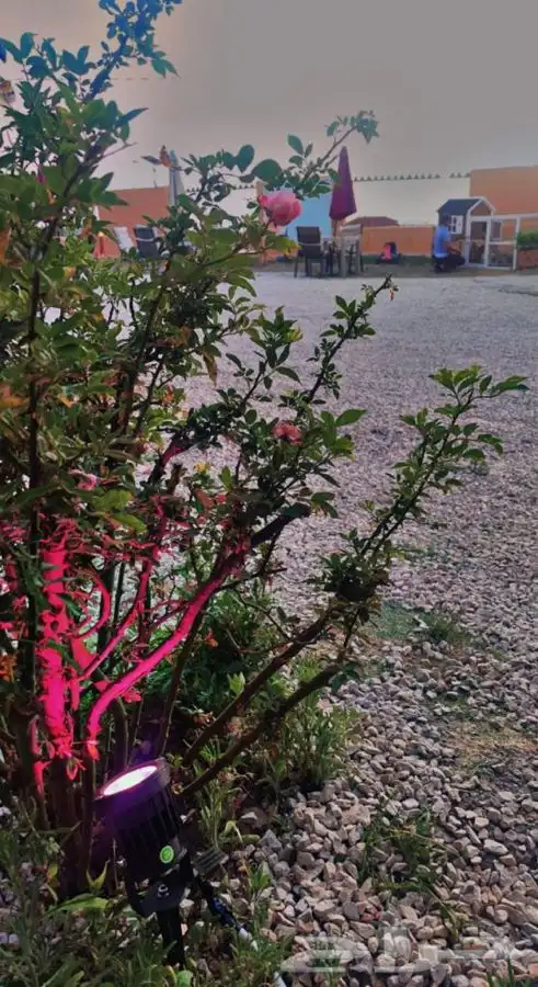 السودة بجلسات خارجية اطلالة خاصه 18