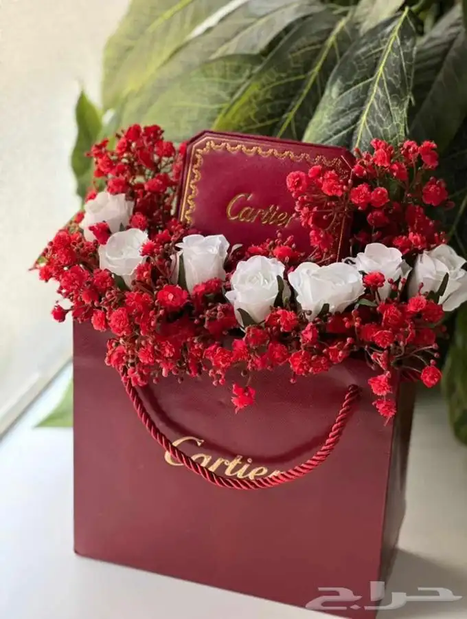 اسوارة كارتير رجالي ونسائي 2