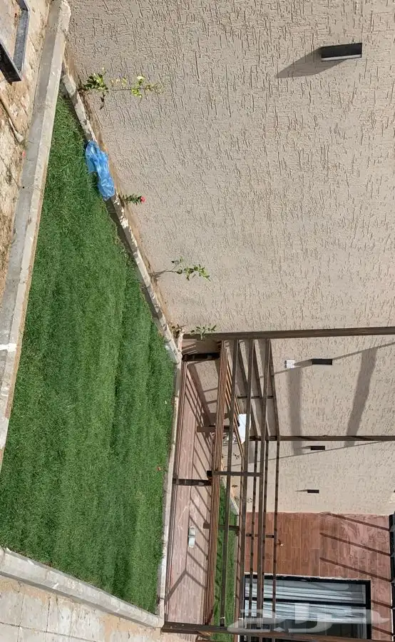 عشب طبيعي نجيله 7