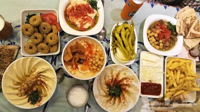 تدريب مطاعم فول وفلافل وتاسيس واستشارات 4