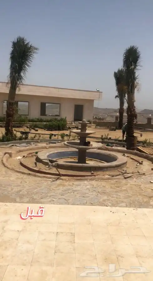 ثيل نجيله عشب طبيعي صافي 20