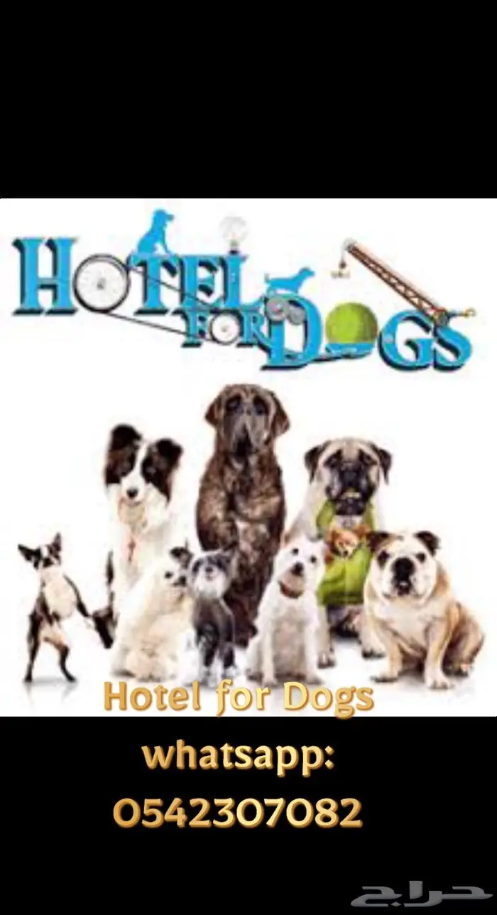 فندق كلاب و تدريب Dogs Hotel 2