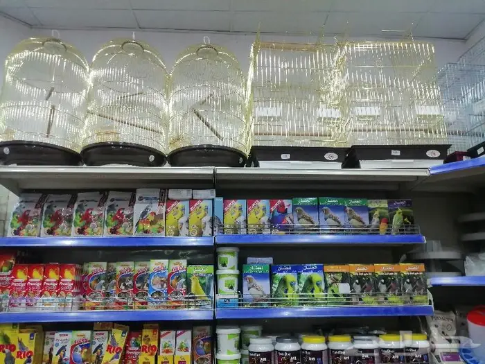 اقفاص و استاندات واعلاف حب طيور زينة وببغاوات 26