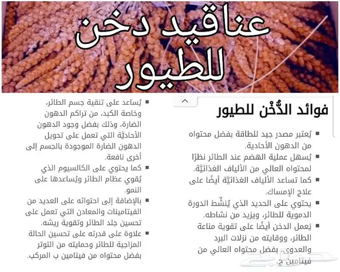 اقفاص و استاندات واعلاف حب طيور زينة وببغاوات 8