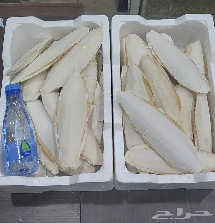 اقفاص و استاندات واعلاف حب طيور زينة وببغاوات 7