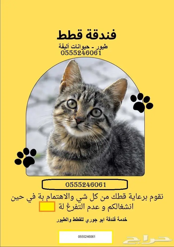 فندقة الطيور والقطط المنزلية - بإجازتك 1