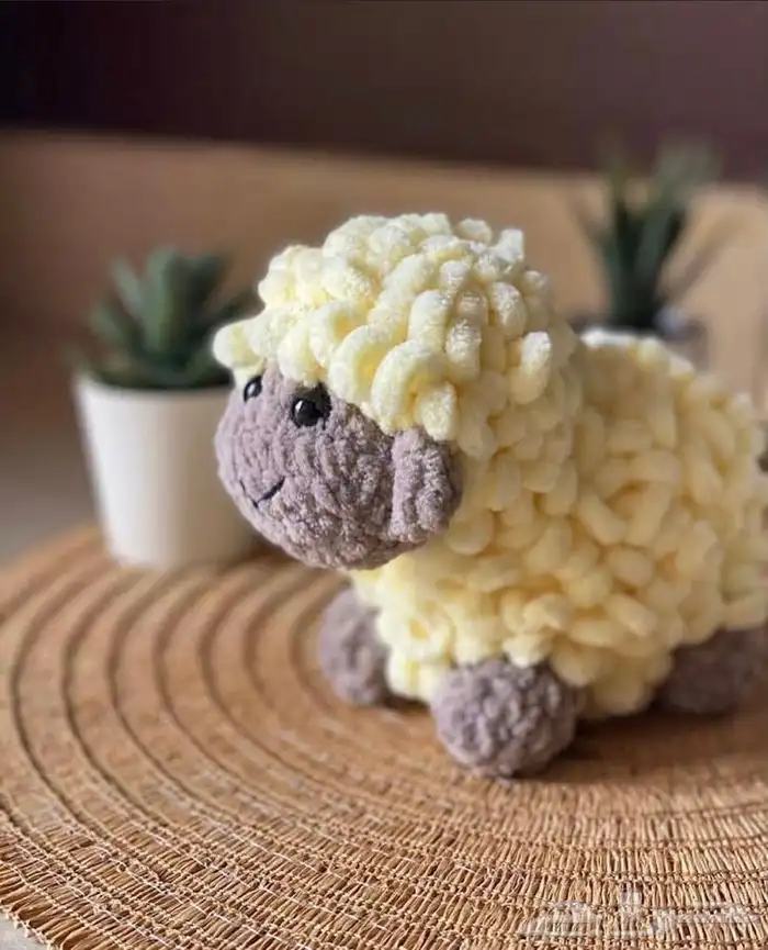 خروف العيد   0