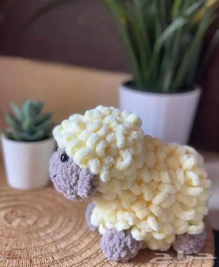 خروف العيد   2