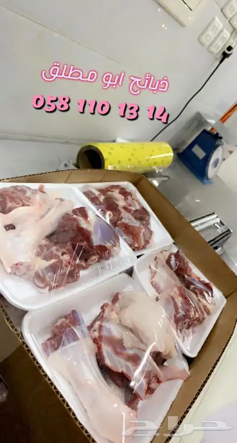 ذبائح حريه واذا حصلت لو ملاحظه بسيطه لاتدفع الحساب شالية 9