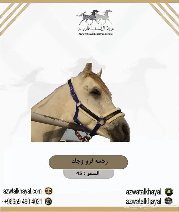 سرج ولجام ستيتوس ورشمة ولباده يوجد اقساطط 22