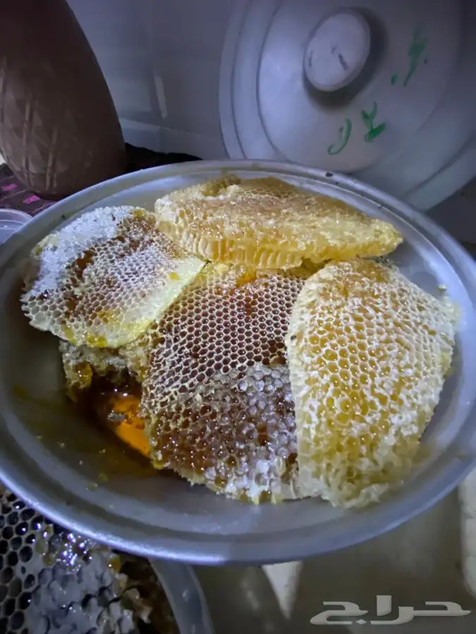 عسل سمر طلح مع سدر شمع وصافي 13