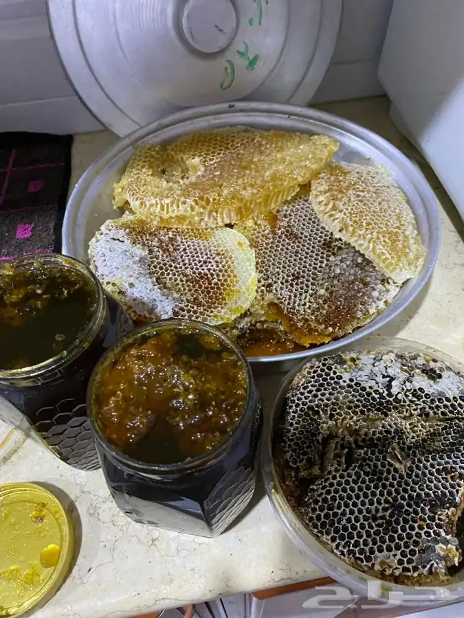 عسل سمر طلح مع سدر شمع وصافي 11