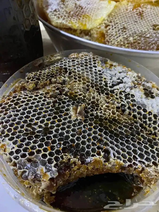 عسل سمر طلح مع سدر شمع وصافي 10