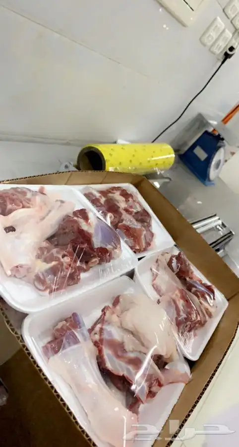 طليان ارخال حريه ذبايح بريه واذا ما اعجبتك لاتحاسب اضحيه 11