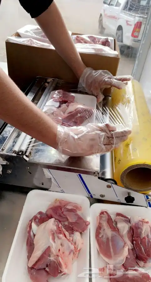ذبايح بريه نظيفه طليان ورخال طلي ضيف ناهي وثلاجه اضحية 5