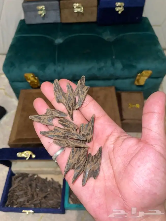 عود تايقر فيتنامي نكهة كمبوديه ريسين بيور فخم عرض للمساجد 0