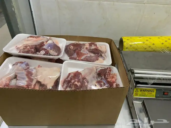 طليان ارخال حريه ذبايح بريه واذا ما اعجبتك لاتحاسب اضحيه 12