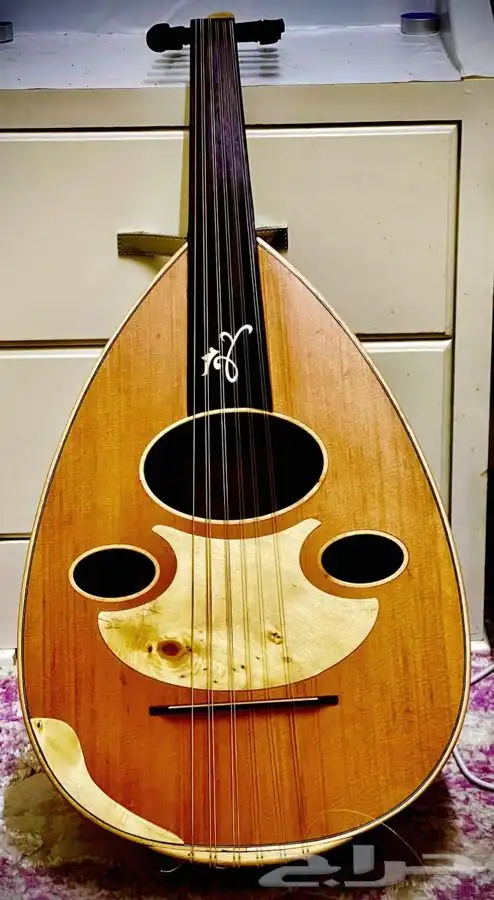 عود للبيع عود احترافي جيتار لتعليم كمان اورج ربابه طيران دف 10