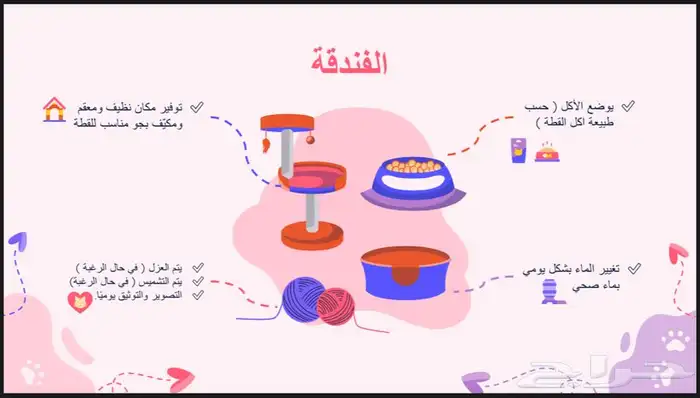 عالم القطط خدمات فندقة و عناية 3