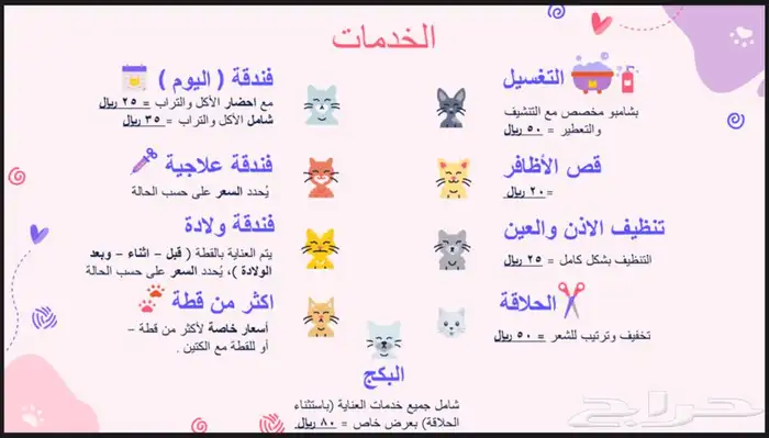 عالم القطط خدمات فندقة و عناية 4