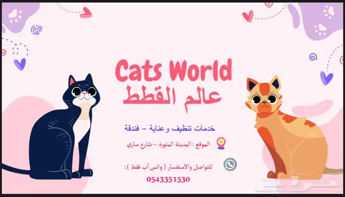عالم القطط خدمات فندقة و عناية 0