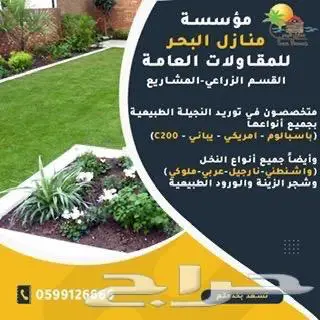 نجيلة طبيعية جميع الأنواع -ثيل طبيعي-افضل سعر 1