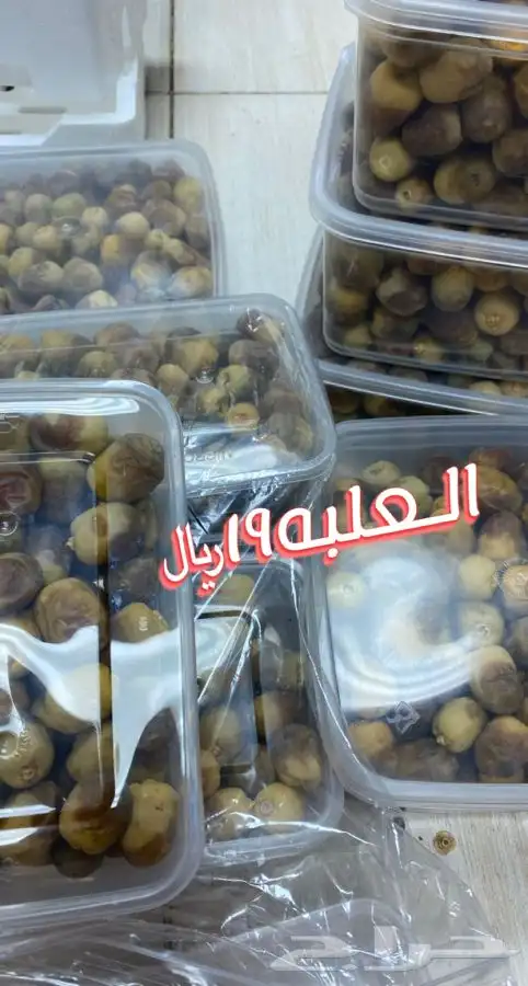 روثانة المدينه 1