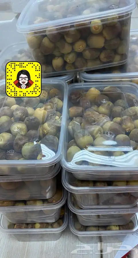 روثانة المدينه 0