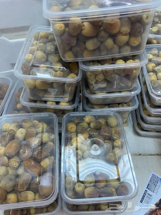 روثانة المدينه 4