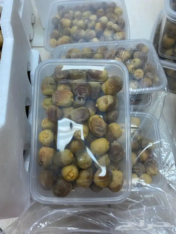 روثانة المدينه 6