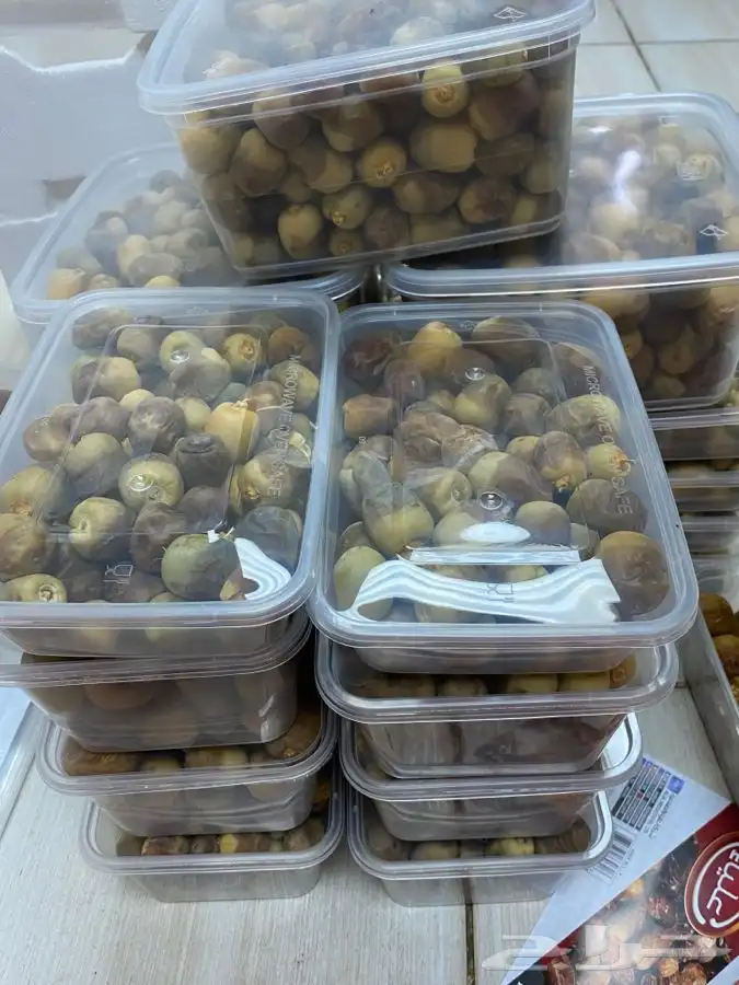 روثانة المدينه 3