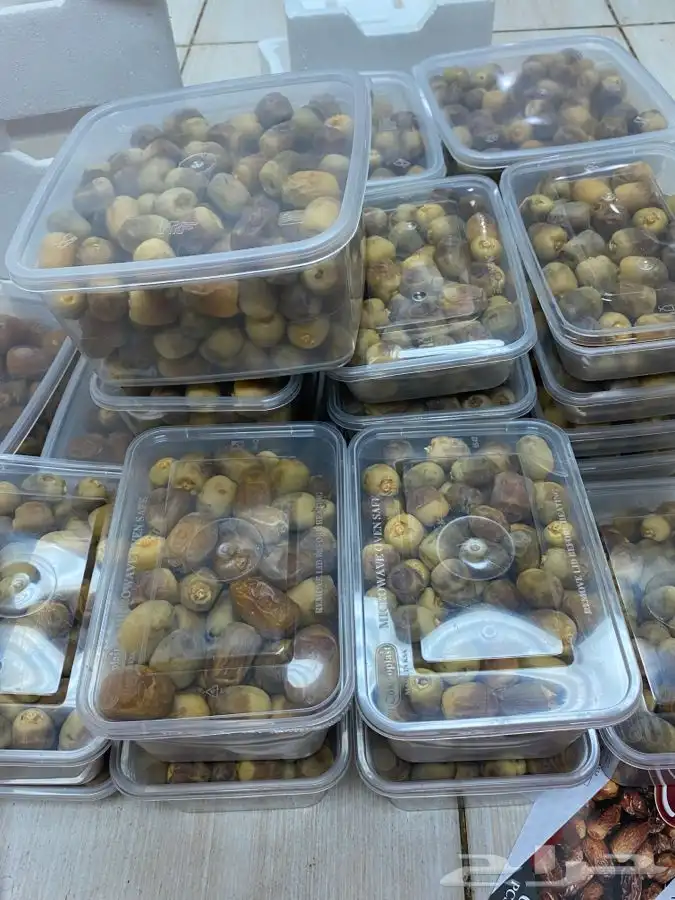 روثانة المدينه 2