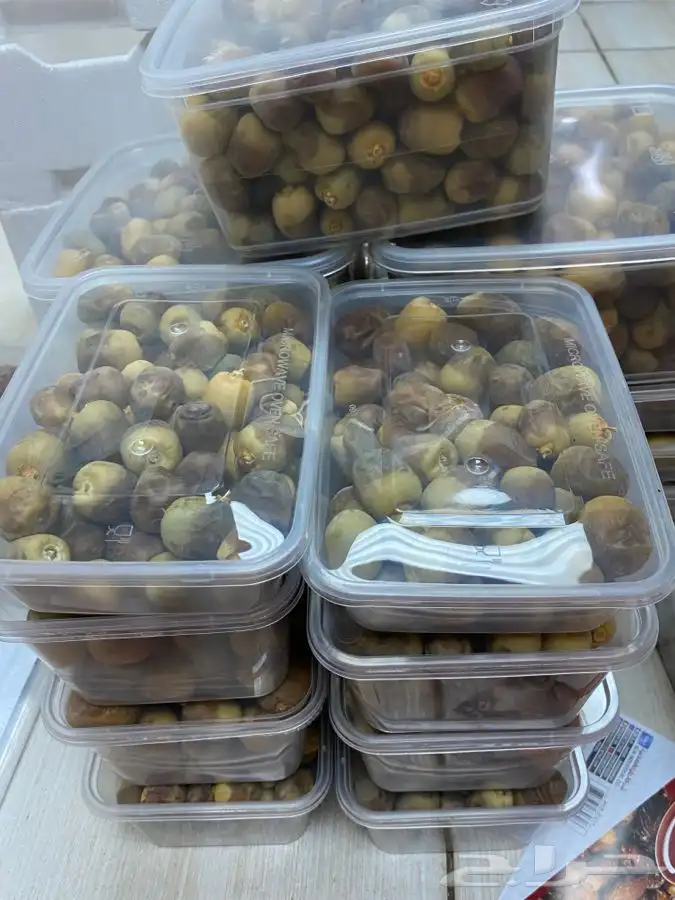 روثانة المدينه 8