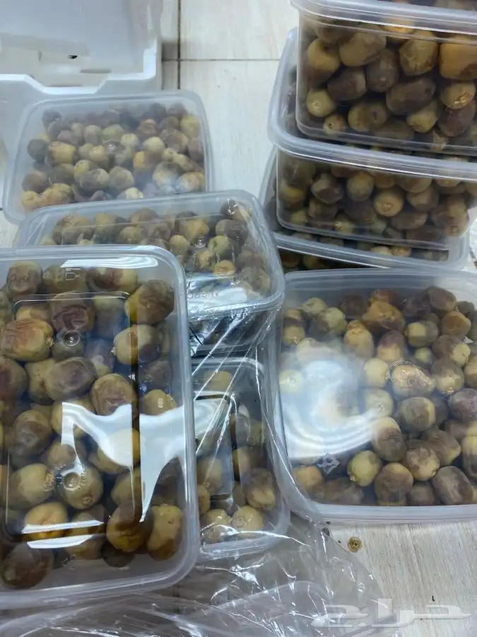 روثانة المدينه 5