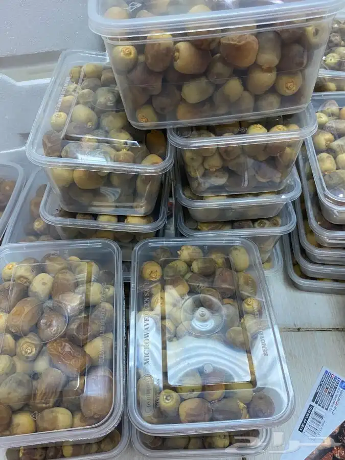 روثانة المدينه 7