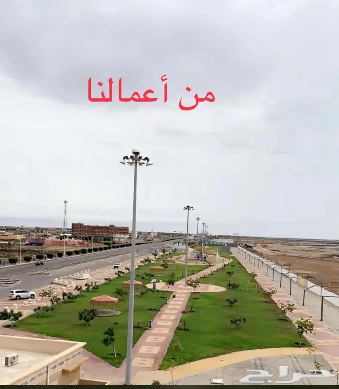 نجيلة طبيعية جميع الأنواع -ثيل طبيعي-افضل سعر 5