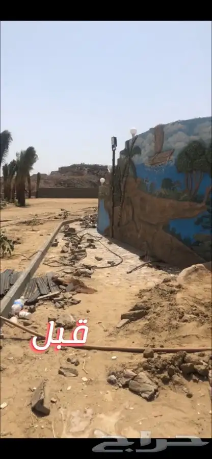 ثيل نجيله عشب طبيعي 6