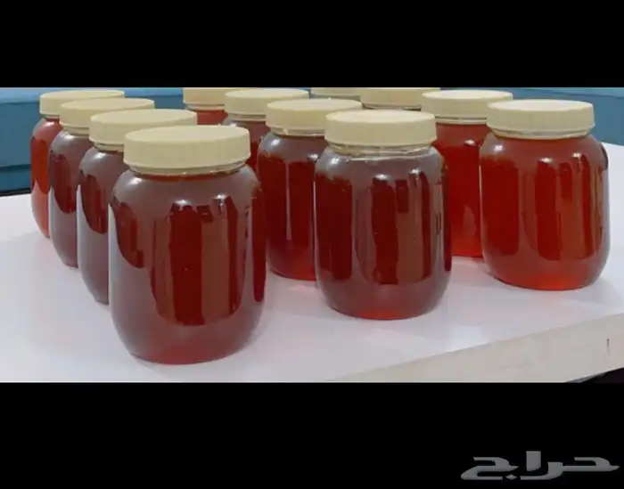 عسل بلدي انتاج منطقة عسير الكيلو 190 ريال عرض شهر الخير 2