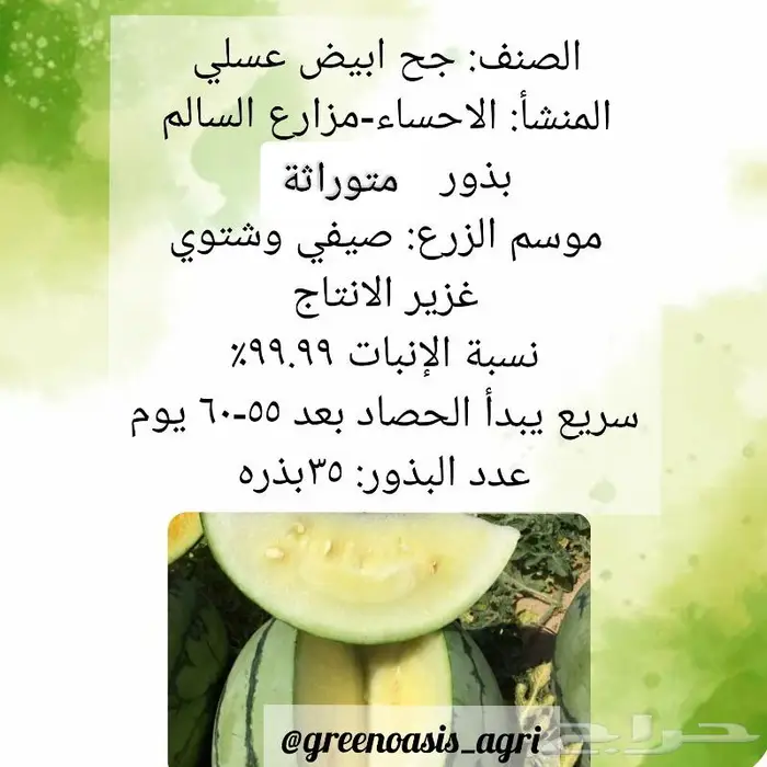 بذور جح بطيخ حبحب ملون 0