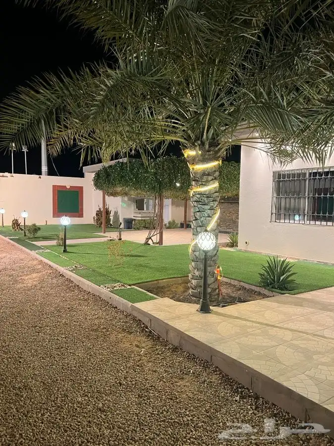 استراحة ومنتجع لافينا للإيجار اليومي 7