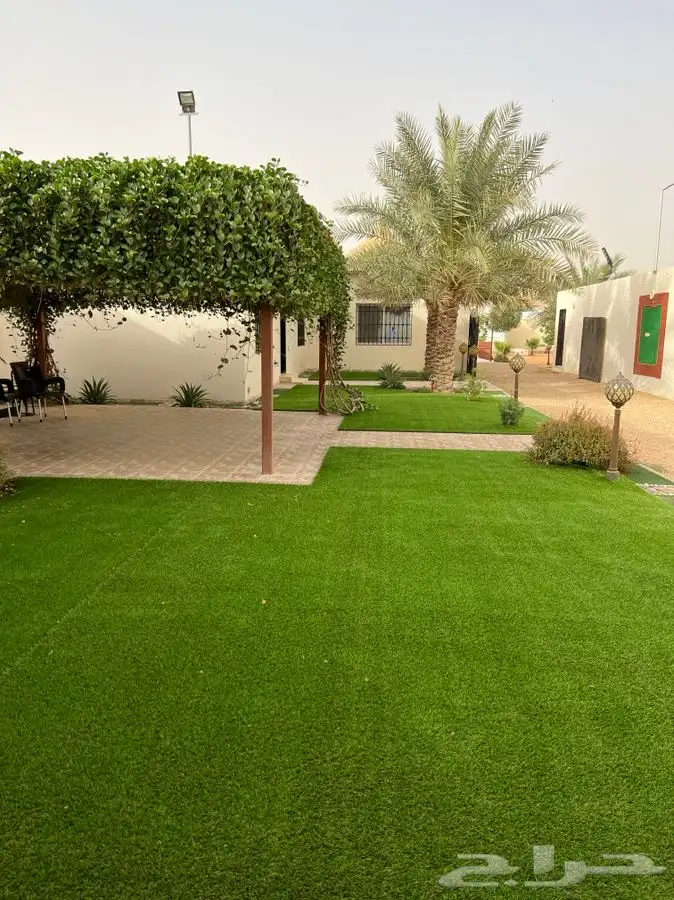 استراحة ومنتجع لافينا للإيجار اليومي 6