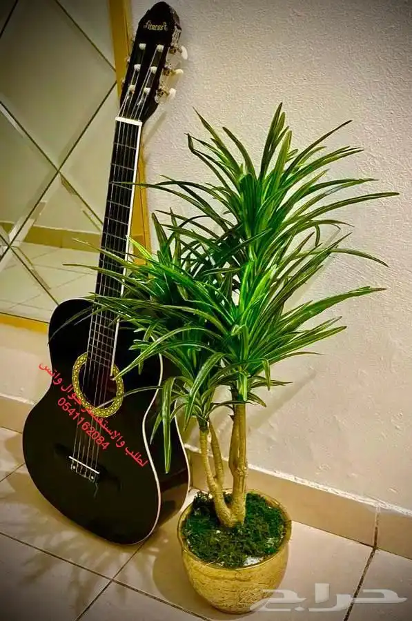 قيتار للبيع جيتار للبيع 0