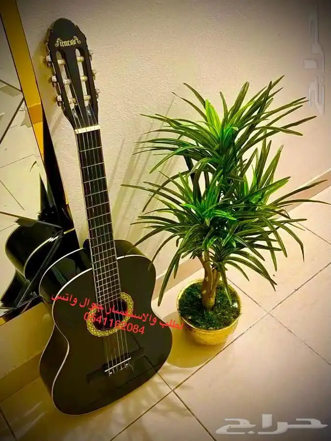 قيتار للبيع جيتار للبيع 1