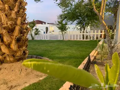 استراحات وشاليهات حوري للإيجار اليومي. 0